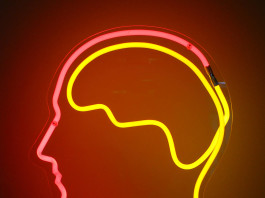 Dipendenza, impulsività, compulsione: il sistema della ricompensa